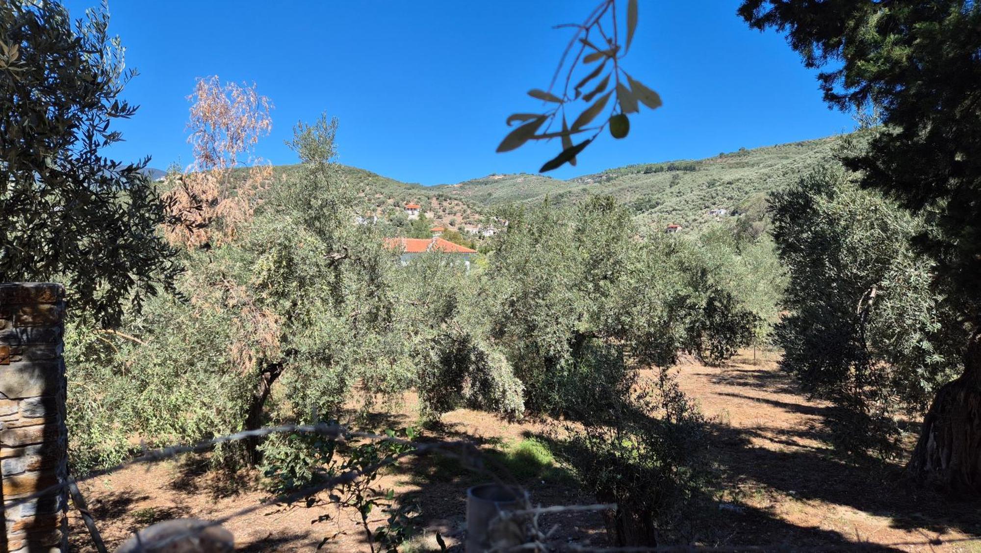 Villas On The Rock Άφησσος Εξωτερικό φωτογραφία